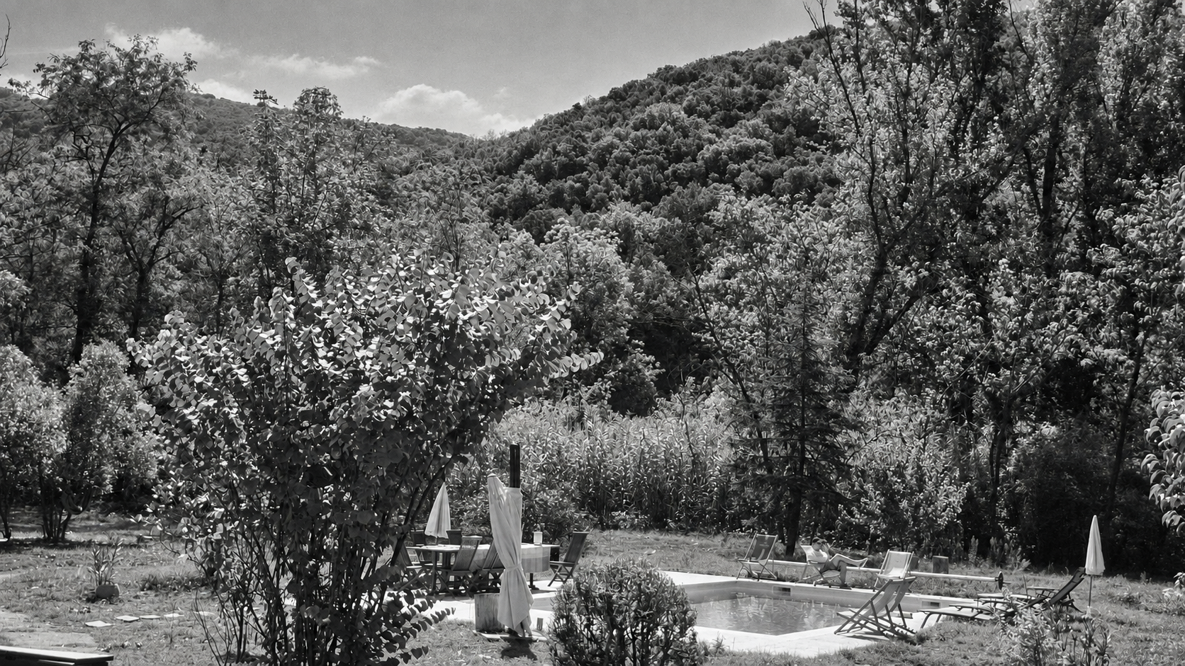 Le parc arboré et la piscine de LA VILLAMARA, entourés de collines